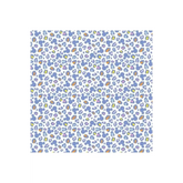 Disney Mickey Mouse Ears Animal Print